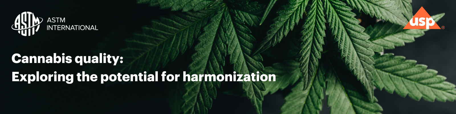 cannabis quality exploring the potential for harmonization