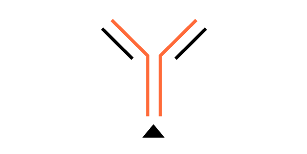 Monoclonal Antibodies