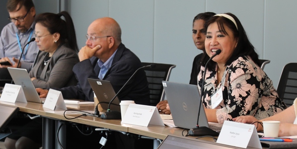 expert committee meeting